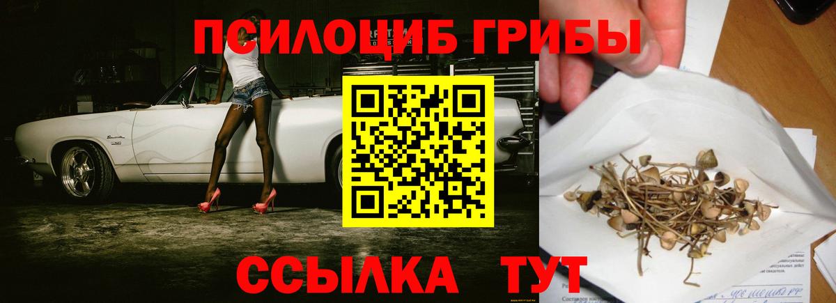 Псилоцибиновые грибы ЛСД Тейково