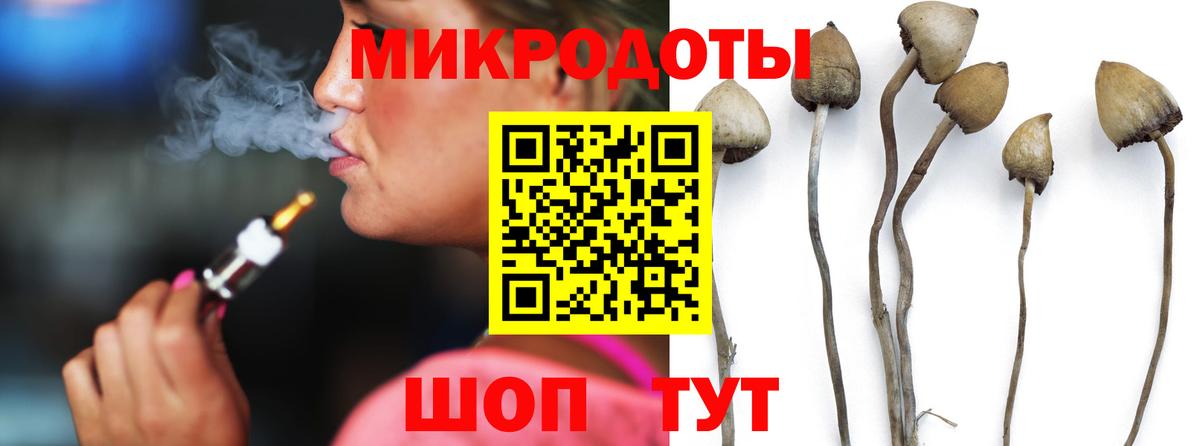 где можно купить   Псилоцибиновые грибы мицелий  Вход с VPN  Тейково 